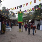 Tālāk dodamies uz Dilli Haat. Patiesībā ieradāmies šeit, jo Puškarā satiktā latviešu Katiņa ieteica šo kā labāko vietu, kur paēst Momos (tas ir, tos nepāliešu pelmeņus), bet izrādījās, ka vēl bez pelmeņiem te ir daudz, daudz cita. Dilli Haat ir tirdziņš, kurā ir pavisam daži permanentie rezidenti (ēstuves un līdzīgas iestādes), bet pārējie tirgotāji te darbojas pēc rotācijas principa. Pieteikties uz tirgošanās vietu var tikai tie amatnieki/rokdarbnieki, kas reģistrējušies attiecīgā valdības kontrolētā amatnieku organizācijā, tāpēc te vis netiek visādi starpnieki, krāpnieki, liekēži. Turklāt tirdziņā ir štatu kvotas - no Katra Indijas štata drīkst ierasties noteikts skaits amatnieku, kuri tirgojas ar tieši savam reģionam raksturīgiem izstrādājumiem. Par tirdzniecības vietu jāmaksā simboliskas 100 rūpijas dienā, tādējādi padarot produkcijas cenu pieejamāku, tajā nav jāierēķina tirdzniecības vietas nomas cenu. Un katrs tirgotājs šeit drīkst palikt ne ilgāk par piecpadsmit dienām, līdz ar to ir nodrošināta pieejamo produktu dažādība! Vai nav paradīze? Paradīze Indijas virsū!