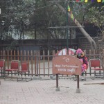 Nogurušajiem ķēmiem ir paredzēti speciāli krēsliņi, kur atpūsties. Pēc sejas gan nepateiksi, bet pēc elpošanas gan šis izskatās bezgala noguris.