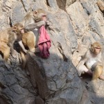 Templis iebūvēts ielejā, tieši starp klintīm un tieši pie dabīgā klinšu avota. Avots novirzīts tā, ka tek septiņos baseinos (hinduisti tos sauc par kundiem), viens no kuriem ir tas svētākais un labākais, tad nu visi svētceļnieki dodas tajos mērcēties, tādējādi noskalojot visu lieko, grēkus ieskaitot. Tomēr iet galīgi plikiņam, apenes atstājot kunda malā, nav prāta darbs, jo apenes ātri tiek nočieptas un sagrauztas. Mājās jādodas caurās bikšelēs, kā tādam nabagam! Tas ir, ja vispār sanāk dabūt tās atpakaļ no velna mērkaķiem!