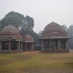 Vēl Ferozs blakus dīķim uzbūvēja Madrasu (mūsdienu universitātēm atbilstošu izglītības iestādi). Tā kā varenais Ferozs par skolotājiem bija noalgojis varenus domātājus, turklāt studentiem maksāja pieklājīgas stipendijas, līdz ar to uz šejieni sabrauca tuvākas un tālākas apkārtnes gaišākie prāti. Vispār Ferozs, lai gan pats nāca no Tjurku musulmaņiem, bija baigi pieķēries šai vietai (Deli Sultanātam), un sabūvēja te daudz visādus labumus - slimnīcas, skolas, ceļus, un vispār pavēra brīnumainu nākotni Deli sultanāta iedzīvotājiem. Par nelaimi, viņa dēls gan bija kaut kāds mīkstais, un dažus gadus pēc Feroza nāves te cauri nāca Tamerlans un visu sagrāva. Dēla aizstāvībai gan jāpiebilst, ka Tamerlans bija baisākais mežonis un iekaroja teju pusi tajā laikā zināmās pasaules.