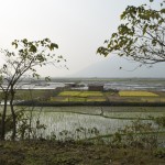 Tikmēr ceļa otrajā pusē rīsu lauki. Tie dzeltenie gan droši vien ir kaut kādi rapši, ne rīsi, bet visi tie ūdeņainie točno ir rīsi! Smuki, ja?