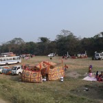 Tā zvērus skatīties brauc indieši. Ierodas lielajos autobusos, uzceļ kaut kādas teltsveidīgas lietas, un tad turpat arī rīko disenes. Es nemaz nezinu, vai viņi vispār ies tos zvērus skatīties, varbūt tikai ieradušies patrokšņot un paskatīties degunradžus gar ceļa malu. Jebkurā gadījumā - tā taču nedrīkst! Vēl jo vairāk rezervāta teritorijā! Vai varbūt šīs arī ir tās meža diskotēkas, uz kurām tik ļoti patīk nākt zivju dzenim!