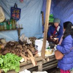 Kad 19. gadsimta vidū sākās lielā būvniecība, strādnieki tika savesti ne tikai no tuvējiem ciemiem, bet pat no tuvējām valstīm - Nepālas, Bangladešas, Ķīnas, Butānas, tāpēc te ir tik daudz dažādu ļaužu. Paskaties, piemēram, šī tirgotāja, pēc manas saprašanas, mierīgi varētu būt arī krieviete. Un visapkārt staigā visdažādākie ļaudis, un tikai retais ir ar pārējā Indijā pierastajiem sejas vaibstiem.