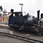 Visas DHR izmantotās tvaika lokomotīves ir oriģinālās, nevis kaut kādi pakaļdarinājumi. Dažas saglabājušās pat no dzelzceļa atklāšanas 1881. gadā. Tvaicinieces gan tiek izmantotas tikai tūristu vajadzībām - izved mazo divu stundu līkumiņu un atved atpakaļ. Parastajai satiksmei no šejienes uz NJP staciju tiek izmantotas modernākās dīzeļlokomotīves. Mēs, protams, esam īsti vīri, tāpēc izdomājām ar kaut kādu tūristu nieku nevizināties, bet ņemt īsto štelli - 7.5 stundas un 88 kilometri līdz NJP stacijai! Šodienas vilcieniņš gan ir jau nokavēts, bet nekas, brauksim rīt. Turklāt cenu starpība arī ir milzīga - tūristu aplis ar tvaicinieci maksā teju 15 eirikus vienam cilvēkam (tādu summu atļauties nevaram!), kamēr parastais nobrauciens nemaksā pat eiriku!