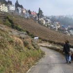 Atkal, protams, nesezona, bet, lūk, ieziemotie tējas krūmi. Happy Valley Tea Estate ir šausmīgi sena plantācija/rūpnīca, vēl senāka pat par šaursliežu vilcieniņu - darbojas jau kopš 1854. gada. Runā, ka dažos apgabalos arī paši tējas krūmi ir tikpat veci, tomēr lielākā daļa krūmu ir 80+ gadus veci, kas tāpat ir ļoti daudz! Nujā, te, protams, ir redzams tikai mazs gabaliņš no plantācijas, pavisam kopā Happy Valley plešas teju 180 hektāru platībā un nodarbina vismaz 1500 cilvēku! Bet to ne mēs, ne jūs (ja vien neaizbrauksiet paši, normālā tūrisma sezonā) nedabūsiet redzēt, JO MIGLA!