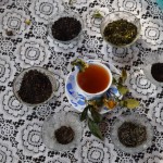 Nākamais tantes priekšnesums - galda vidū ar lapām izgreznota piecu sekunžu tējas krūze, apkārt izkārtoti Dārdžilingas dažādo tējas veidu bļodiņas. Tad jābildē, hehe. Tante iemācījusies, ko tūristiem vajag - smukas instagrama bildes. Nobildē un viss! Visu var novākt. Nu, jā, bet tēja vispār garšīga. Dārdžilingas tēja vispār ir ļoti īpaša, aug īpašos apstākļos, īpaša saule, īpašs mitrums, etc, tieši tāpēc tā ir izpelnījusies šito ģeogrāfiskās aizsardzības bļembuku. Nu, es nezinu, kā viņu īsti sauc, bet tas ir tāpat kā īsteno Parmezānu drīkst audzēt/ražot tikai Parmas reģionā, Šampanieti Šampaņā, Balzāmetiķi Modēnā u.t.t. Tāpēc, jā, lai cik jocīga tante, visticamāk, viņa mums pasniedza īsteno Dārdžilingas tēju. Kamēr, ja tu pērc Dārdžilingas tēju veikalā, ir ļoti augsts risks, ka tā tomēr nebūs īstā - pārdošanas dati liecina, ka katru gadu pasaulē tiek pārdots apmēram 40 tūkstoši tonnu Dārdžilingas tējas, kamēr Dārdžilingā saražots tiek tik vien kā 10 tūkstoši tonnu. Un no tā vēl jānoņem tās daudzās tonnas, ko izdzer vietējie tējas mīļi!