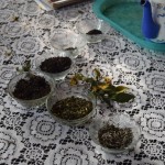 Tagad kārta spēlei/uzdevumam - bļodiņas jāsakārto pareizi pa tējas veidiem un kvalitātēm. Mēs gandrīz, gandrīz sakārtojām pareizi - melno no zaļās un baltās nošķirt ir viegli, bet četrus dažādus kvalitātes līmeņus melnajai izšķirot ne tik vienkārši kā varētu likties. Pastāstīšu vēl vienu lietu, kas man bija jaunums - maisiņos nopērkamā tēja vienmēr ir viszemākās kvalitātes (principā atlūzas un putekļi), jo glaunāku tēju nav vērts tur iekšā likt, tā tāpat salūzīs un pārvērtīsies teju putekļos. Tā kā - nepērciet maisiņu tēju! Ja vien tā nav dārgā piramīdu nevis plakano maisiņu tēja - tādās mēdz būt arī labās lapas, jo tur tām arī ir vairāk vietas, kur atvērties pēc apliešanas ar ūdeni.