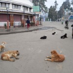 Nākamais rīts, uz lielā laukuma ekrāna joprojām rāda futeni, šorīt novākušies arī skatītāji, es šajā bildē varu saskatīt vismaz deviņus!