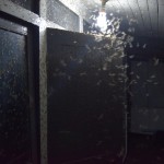 Paskat, paskat! Un citiem jāguļ uz klāja! Iedomājies?!