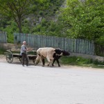 Transporta līdzekļi paliek aizvien neierastāki.