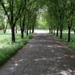 Kirova parks - galvenais parks Tiraspolē. Arī parkus no bērnības atceros apmēram šādus.