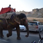 Re, kāds satiksmes dalībnieks. Gan priekšā, gan aizmugurē zilonim ar krītiņu uzrakstīta vienāda burtu un ciparu kombinācija, varētu padomāt, ka tā, līdzīgi kā automobiļiem, ir transportlīdzekļa valsts reģistrācijas numura zīme. Varbūt, ka tā arī ir, bet tās krāsainās sirsniņas liek šaubīties. Jebkurā gadījumā - šāds kungs ar šādu zilonīti vienkārši piedalās satiksmē. Stāv kopā ar citām automobiļiem sastrēgumos un tā.