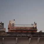 Bez mums uz saulrietu ieradušies arī bars mērkaķīšu. Tā viņi tur dzīvojas pa visiem pilsētas jumtiem. Māju saimnieki pa brīdim iznāk uz jumta, ar slotu izdzenā mērkaķīšus un atkal nozūd savos apartamentos. Mērkaķīši jau forši, bet iedomājies, kāda tā ir problēma! Tas ir tā kā tev pie logiem, durvīm, jumtiem vienmēr grozītos klaiņojoši kaķi, turklāt tādi ar funkcionāliem īkšķiem! Tādi, kas labprāt visu, kas nav piesiets, paņem sev un aiznes nomest citur, visticamāk, pie kaimiņa.