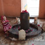 Šis ir lingams - Šivas penis. Neiedziļinoties detaļās - uz šī aparāta noteiktos laikos tiek liets piens. Tā kā tas ir auglības simbols, protams, piena liešana un noteiktu mantru skaitīšana palīdz neauglīgajiem cilvēkiem savu problēmu pieveikt. Nu, vēl tur arī citi iemesli, pozitīvās enerģijas, etc. Citi lej arī ūdeni, bet, ja gribas tā pa īstam iedarbināt visas enerģijas, noteikti jālej piens. Dažreiz šis falls attēlots komplektā ar visu vagīnu, kas kā gredzens apvijusies šim apkārt.