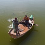 Cietokšņa aizsarggrāvī daži asprāši pamanījušies izlikt tīklus. Un, re, dažas zivteles arī noķēruši! Aizsarggrāvis, protams, ir stāvošs ūdens, kurš nav savienots nedz ar kādu upi, ne ezeru. Man drīzāk liktos, ka šādās ūdenskrātuvēs var noķert denges drudzi, nevis zivis.